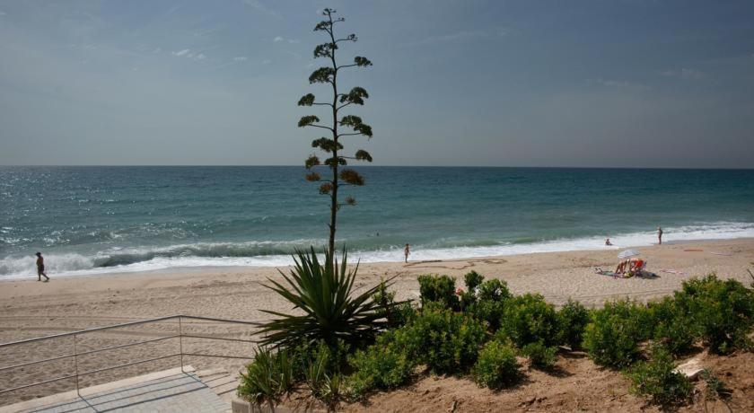 Apartmán Apart. A-Dorada Miami Playa Exteriér fotografie